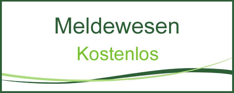 Meldewesen